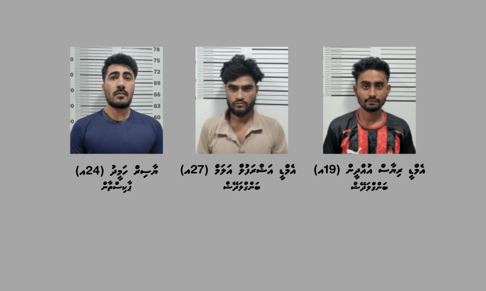ފުޅާ ދާއިރާއެއްގައި ބަނގުރަލުގެ ވިޔަފާރިކޮށް ބަނގުރާ ބޭނުންކުރާ ކަމުގެ ތުހުމަތުގައި 3 މީހަކު ހައްޔަރު ކޮށްފި