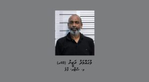 ތަންތަނަށް ގެއްލުންދިނުމުގެ ތުހުމަތުގައި އެތައް ފަހަރަކު ކޮށްފައިވާ މީހަކު ތަކެއްޗަަށް ގެއްލުން ދީގެން އަނެއްކާވެސް ހައްޔަރަށް