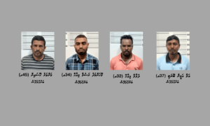ރިސޯޓުތަކުގައި ބޭނުންކޮށް އުކާލާ ތެޔޮ ވިއްކިކަމުގެ ތުހުމަތުގައި ހައްޔަރުކުރި ބިދޭސީންގެ އަތުގައި ވިސާއެއްނެތް