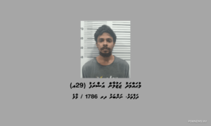 އެމް.ޕީ.އެލް ޓަވަރުން 17 ކިލޯ މަސްތުވާތަކެތި ހޯދައި ފިރިހެނަކު ހައްޔަރުކޮށްފި