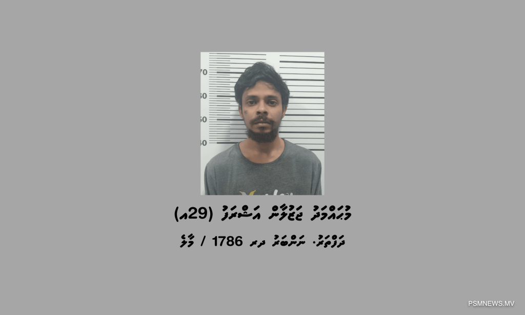 އެމް.ޕީ.އެލް ޓަވަރުން 17 ކިލޯ މަސްތުވާތަކެތި ހޯދައި ފިރިހެނަކު ހައްޔަރުކޮށްފި