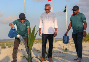 މި އަހަރު ނިމުމުގެ ކުރިން އެއް މިލިޔަން ގަސް އިންދާނެ