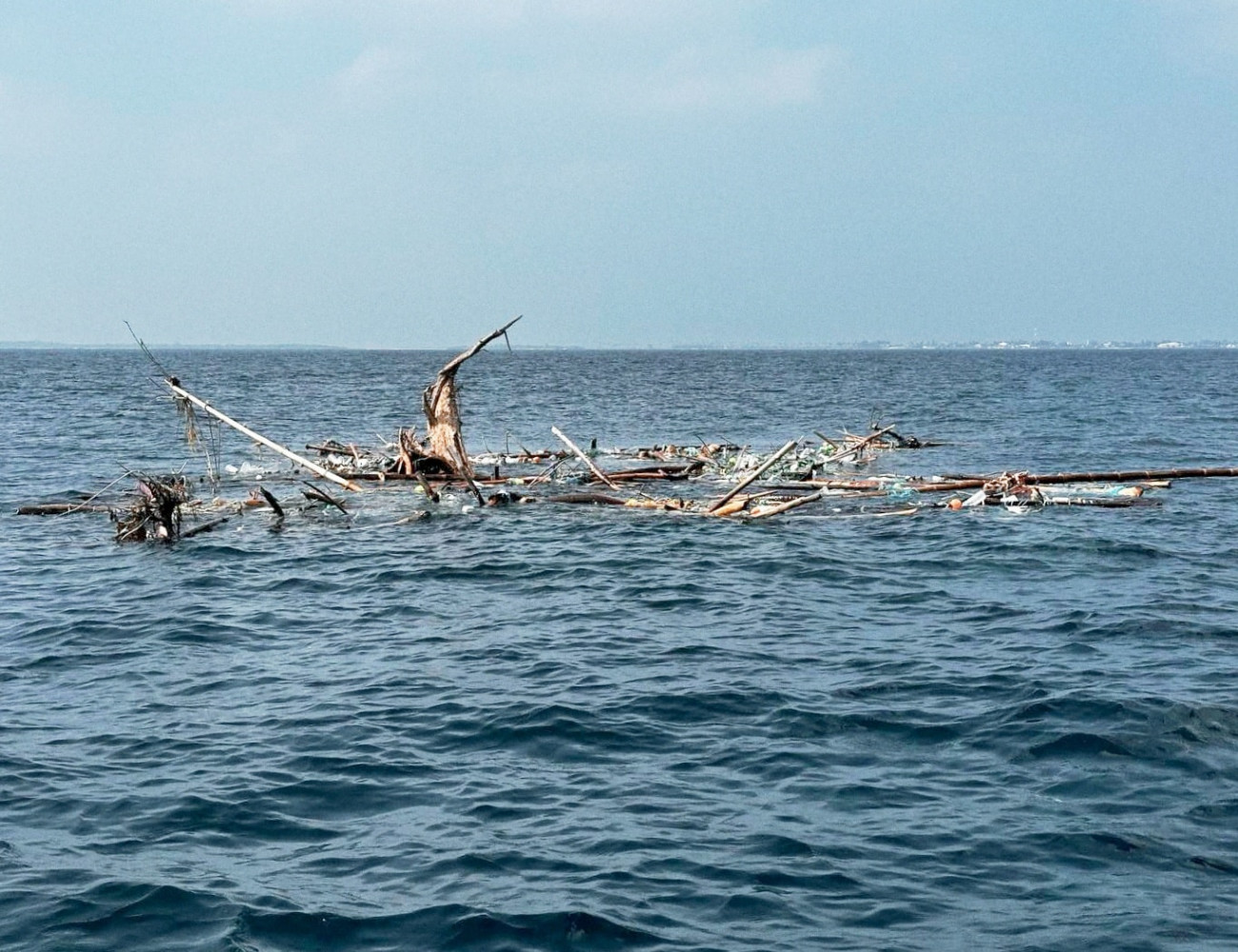 ރާއްޖޭގެ ކަނޑުތަކަށް ބޭރުން އަންނަ ގަސްތަކާއި ކުނި ލައްވާ މައްސަލަ ބޮޑުވަނީ