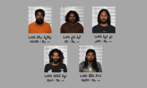 އައްޑޫގައި މަސްތުވާތަކެތީގެ ބޮޑު ނެޓްވޯކެއް އަތުލައިގެންފި