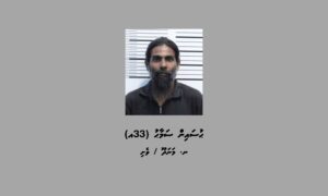 ވައިބާ އެކައުންޓް ހެކުކުކޮށް ހިންގި ފްރޯޑް މައްސަލައެއްގައި ދެވަނަ މީހަކު ހައްޔަރު ކޮށްފި