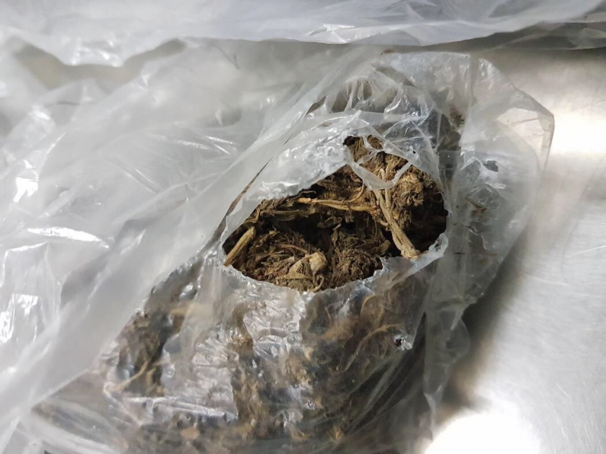 މަސްތުވާތަކެތީގެ ބޮޑެތި ވިޔަފާރިވެރިންނަށް މަރުގެ އަދަބު ދެވޭ ގާނޫނަށް އަމަލުކުރަން ފަށައިފި