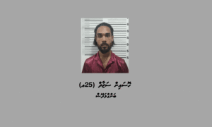 ހުޅުމާލޭން މަސްތުވާތަކެއްޗާއެކު ބަންގްލަދޭޝް ރައްޔިތަކު ހައްޔަރުކޮށްފި