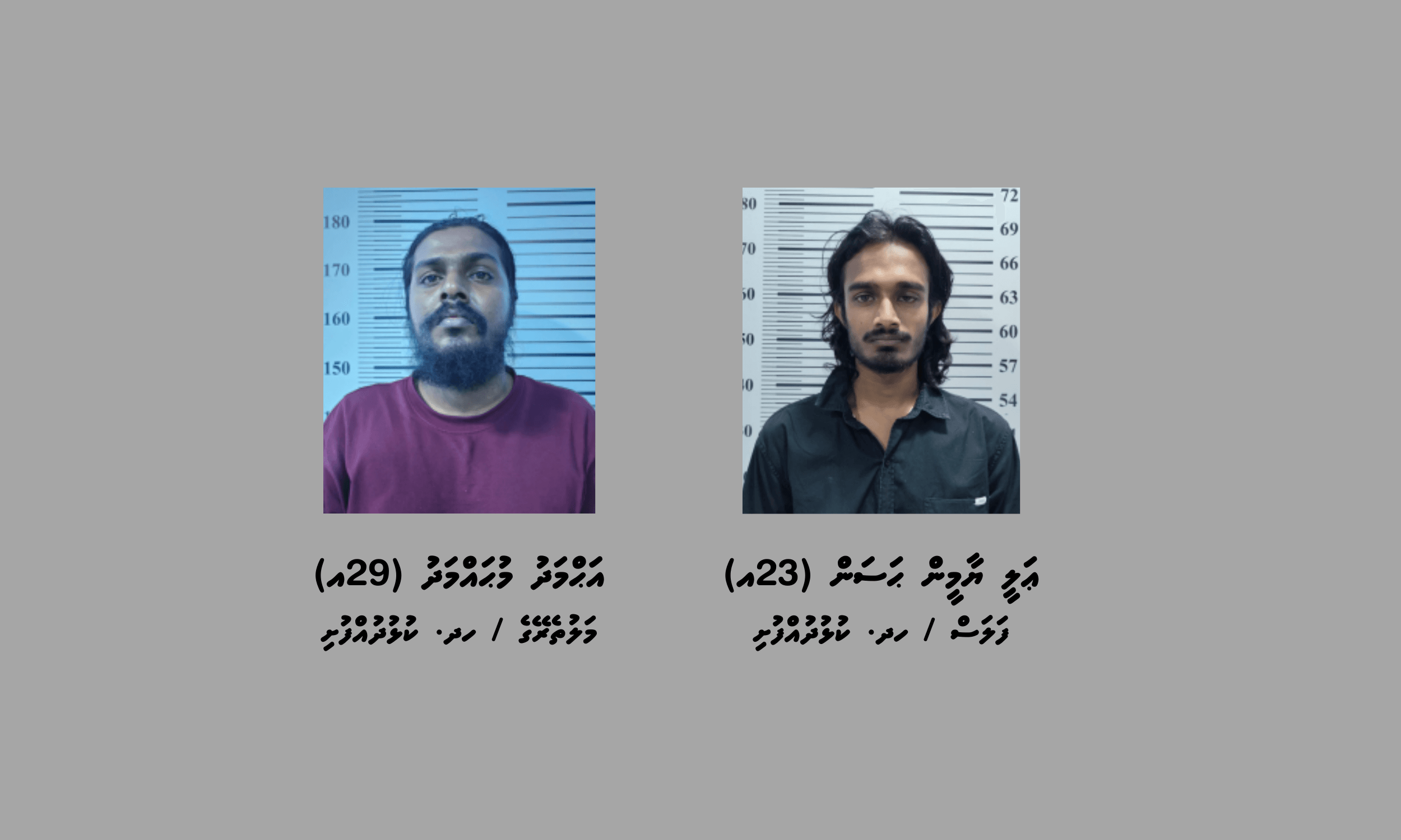 ކުޅުދުއްފުށީގައި މަސްތުވާތަކެތި ވިޔަފާރިކުރާ ކަމަށް ތުހުމަތުކުރެވޭ ދެ މީހަކު ހައްޔަރުކޮށްފި