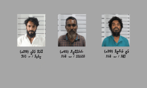 އުތުރުގެ ދެ ރަށެއްގައި ހިންގި މަސްތުވާތަކެތީގެ އޮޕަރޭޝަންތަކެއްގައި ތިން މީހަކު ހައްޔަރުކޮށްފި