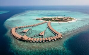 ސިނަމަން ވެލިފުށީގެ ޑަސްބިނަކުން މަރުވެފައި އޮއްވާ ފެނުނު ތުއްތު ކުއްޖާ ވަޅުލައިފި