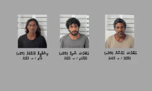 ދުވާފަރަށް ފަތާފައި މަސްތުވާތަކެތި ގެންދަން އުޅުނު ތިން މީހުން ހައްޔަރު