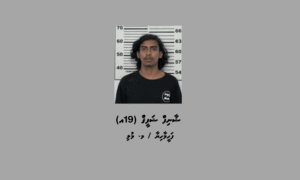 ވޭވަށަށް މަސްތުވާތަކެތި އެތެރެކުރަން އުޅުނު ޒުވާނަކު ހައްޔަރުކޮށް ބަންދުގެ މުއްދަތު ޖަހައިފި