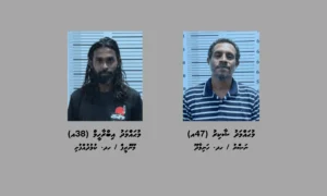 މަސްތުވާތަކެތީގެ ވިޔަފާރިކުރާކަމުގެ ތުހުމަތުގައި ކުޅުދުއްފުށިން ދެ މީހަކު ހައްޔަރުކޮށްފި