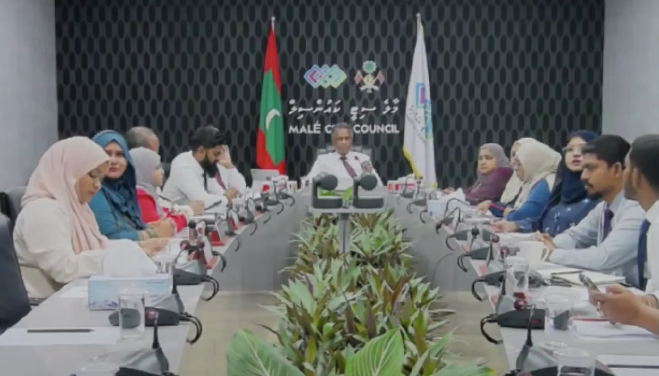 ސިނަމާލެ އާއި މާލެހިޔާގެ ޖޫރިމަނާ މާފުކޮށްދޭން ކައުންސިލުން ފާސްކޮށްފި