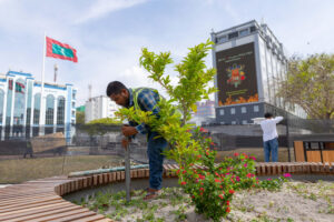 ޖުމްހޫރީ މައިދާނަށް ބޮޑެތި ބަދަލުތަކެއް ގެނެސް، ރޯދައަށް ވަގުތީ ގޮތުން ހުޅުވާލައިފި