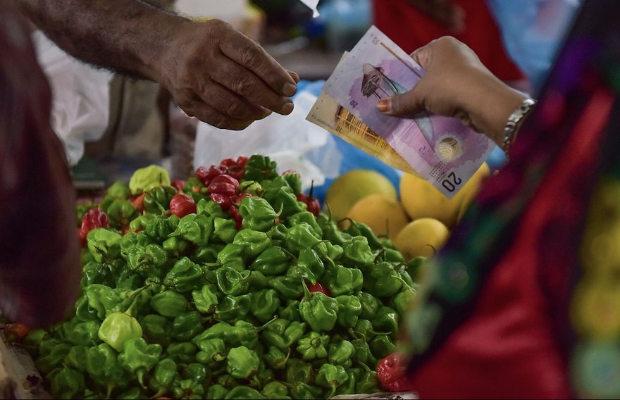 ރޯދަމަހުގެ ފަހު ދިހައަކަށް އެޅުނުއިރު ކަނޑޫދޫ މިރުހުގެ އަގު ވަރަށް ބޮޑަށް ދަށްވެއްޖެ
