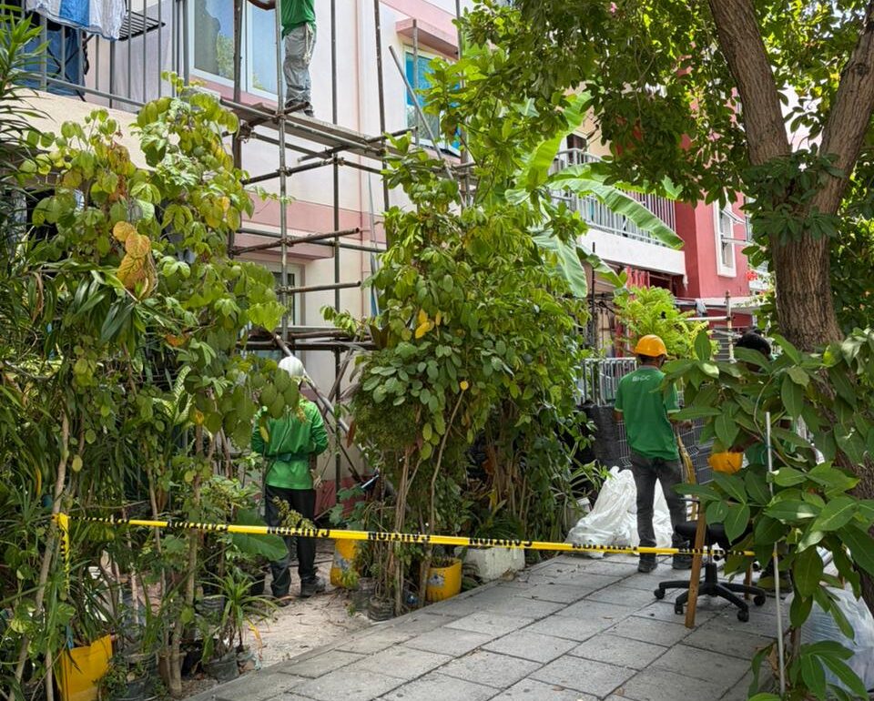 ހުޅުމާލޭގެ 704 ފްލެޓުގެ އާބާތުރަ ފިލުވުމާއި މެއިންޓެނެންސްގެ މަސައްކަތް އެޗްޑީސީން ފަށައިފި