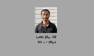 މިލަންދުއަށް މަސްތުވާތަކެތި އެތެރެކުރަން އުޅުނު ފުނަދޫ މީހަކު ހައްޔަރުކޮށްފި