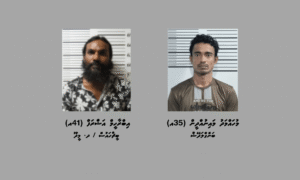 ހިމަންދޫ އަދި މީދޫއަށް މަސްތުވާތަކެތި އެތެރެކުރަން އުޅުނު ދެ މީހަކު ހައްޔަރުކޮށްފި