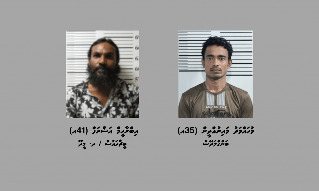 ހިމަންދޫ އަދި މީދޫއަށް މަސްތުވާތަކެތި އެތެރެކުރަން އުޅުނު ދެ މީހަކު ހައްޔަރުކޮށްފި