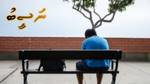 ކުރު ވާހަކަ: ނަސީބު