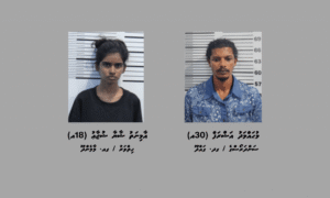 ވާދޫން މަސްތުވާތަކެއްޗާއެކު ދެ މީހަކު ހައްޔަރުކޮށް ބަންދުގެ މުއްދަތު ޖަހައިފި