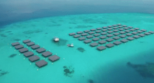 ޝެވަލް ބްލާންކް ރަންދެލީގައި ރާއްޖޭގެ އެންމެ ބޮޑު ފްލޯޓިން ސޯލާ ސިސްޓަމް ގާއިމުކޮށްފި