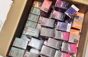 ކަނޑުމަގުން ރާއްޖެ އެތެރެކުރަން އުޅުނު ގިނަ އަދަދެއްގެ ވޭޕް ކަސްޓަމްސްއިން އަތުލައިގެންފި