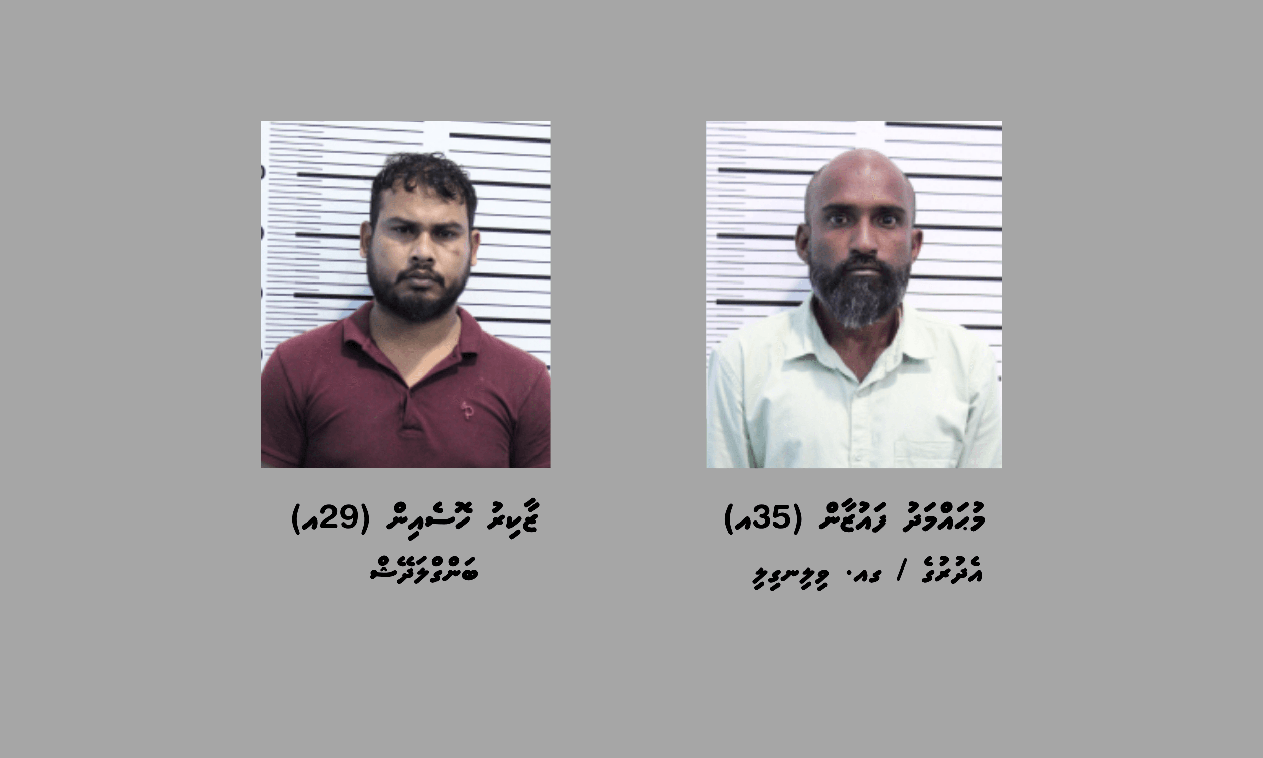 މާލެއިން ކިލޯއަކަށްވުރެ ގިނަ މަސްތުވާތަކެއްޗާއެކު ދިވެއްސަކާއި ބިދޭސީއަކު ހައްޔަރުކޮށްފި