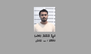 ދިރާގު ފިހާރައަށް ބޮމުގެ އިންޒާރު ދިން ނަދީފު ޖަލަށް