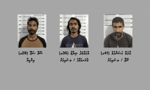 ނައިފަރުގައި ހިންގި އޮޕަރޭޝަނެއްގައި 37 ޕެކެޓު މަސްތުވާތަކެއްޗާއެކު 3 މީހަކު ހައްޔަރުކޮށްފި
