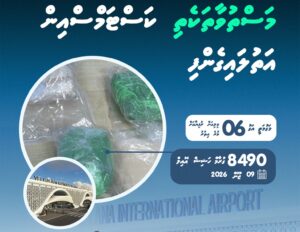 ވައިގެ މަގުން އެތެރެކުރަން އުޅުނު 6 މިލިއަން ރުފިޔާގެ ހަޝިޝް އޮއިލް އަތުލައިގަނެފި