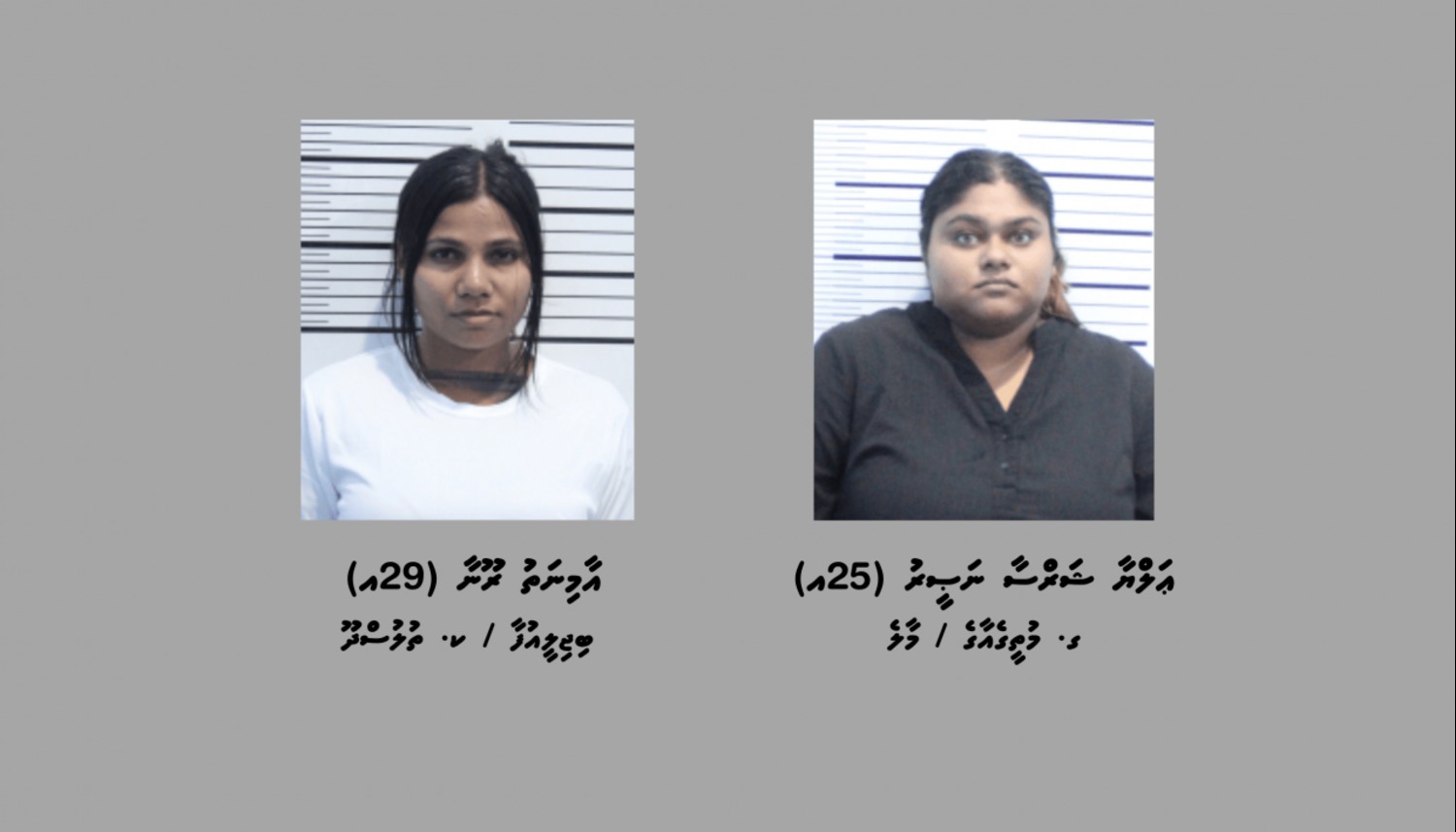 1.8 ކިލޯގެ މަސްތުވާތަކެތީގެ މައްސަލަ: އަލްޔާ ގްރޫމްކުރީ ރޫނާ ކަމަށް ތުހުމަތުކޮށްފި