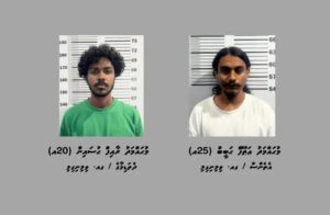 ކުޑަކުދިން ބޭނުންކޮށްގެން މަސްތުވާތަކެތީގެ ވިޔަފާރިކުރި ދެ މީހަކު ގއ. ވިލިނގިލިން ހައްޔަރުކޮށްފި