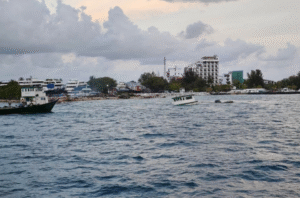 ގުޅި އާއި ފުށިދިއްގަރުފަޅު ކަނޑުއޮޅިން އޮޔާދާ ތަކެއްޗަށް ސަމާލުވުމަށް އަންގައިފި