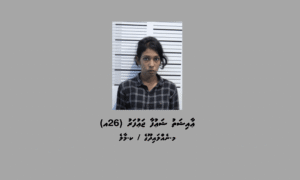 ފުލުހުންގެ ބަންދުގައި ބަހައްޓައިގެން ކްރިމިނަލް ކޯޓަށް ހާޒިރުކުރުމަށް 26 އަހަރުގެ އަންހެނަކު ހޯދަނީ