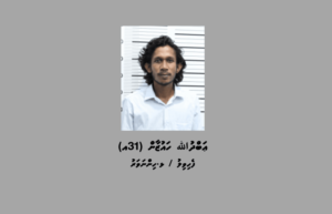 ސައިކަލެއްގެ މަޑިދަށުން ލެޕްޓޮޕެއް ވަގަށް ނެގި މީހަކު ހައްޔަރަށް