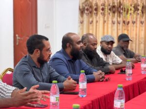 އޮޑިޓް ރިޕޯޓް ހުށަނާޅަނީ އަދާލަތާއި އެމްއެންޕީން، ގަވާއިދަށް ފެތުނީ އެންމެ 4 ޕާޓީއެއް