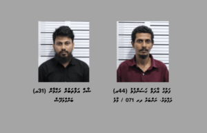 މާލެއާއި ހުޅުމާލޭގައި ހިންގި އޮޕަރޭޝަނެއްގައި ތިން ކިލޯގެ މަސްތުވާތަކެއްޗާ އެކު ދެ މީހަކު ހައްޔަރުކޮށްފި