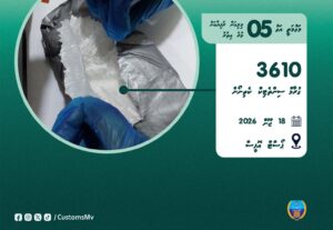 ޕޯސްޓު މެދުވެރިކޮށް އެތެރެކުރަން އުޅުނު 3.6 ކިލޯގެ މަސްތުވާތަކެތި އަތުލައިގެންފި