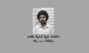 ވިނަރެސް ޓަވަރެއްގެ ކަރަންޓު ފޮށިތަކުން ކޮޕަރ ވަގަށްނެގި މީހަކު ހައްޔަރު ކޮށްފި