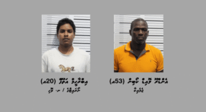 ކިލޯއަކަށްވުރެ ގިނަ މަސްތުވާތަކެއްޗާއެކު ބިދޭސީއަކާއި ދެ ދިވެއްސަކު ހައްޔަރުކޮށްފި