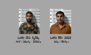 ދުވާފަރުގައި ހިންގި އޮޕަރޭޝަނެއްގައި މަސްތުވާތަކެއްޗާއެކު ދެ މީހަކު ހައްޔަރަށް