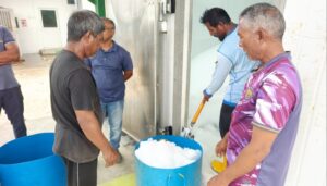 ކަނޑުއޮތްގިރީގައި ހުޅުވި އައިސް ޕްލާންޓުން މަސްވެރިންނަށް އައިސް ވިއްކަން ފަށައިފި