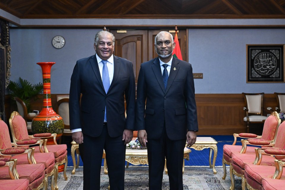 ދިފާޢީ އަދި ސަލާމަތީ ދާއިރާއިން މިޞްރާއެކު ގުޅިގެން މަސައްކަތްކުރުމުގެ ޔަޤީންކަން ރައީސް ދެއްވައިފި