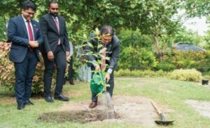 ފަސް މިލިއަން ގަސް އިންދުމުގެ މަޝްރޫޢަށް ބަނގުލަދޭޝުން 20،000 ގަސް ހަދިޔާކުރަނީ