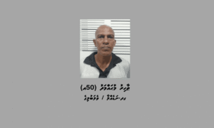 ހުޅުމާލެއިން ފޯނު ކޭބަލްތަކެއް ބުރިކޮށް ވައްކަންކުރަން އުޅުނު މީހަކު ހައްޔަރުކޮށްފި