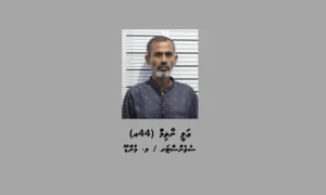 ތިން ލައްކަ ރުފިޔާ ހުރި ފޮށްޓެއް ޖެޓީމަތިން ވަގަށްނެގި މީހަކު ހައްޔަރުކޮށްފި