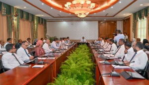 ސަރުކާރު ހިއްސާވާ ކުންފުނިތަކަށް ބިން ދޫކުރެވޭ ގޮތަށް ގަވާއިދު އިސްލާހުކޮށްފި