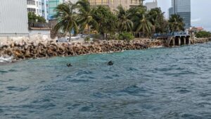 ވެސްޓް ޕާކްގައި ފިޝިން ޕްލެޓްފޯމެއް ތަރައްގީކުރަން ރައްޔިތުންގެ ޚިޔާލު ހޯދަނީ